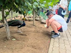 -西霞口神雕山野生动物世界