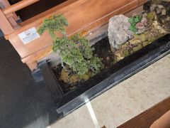 -奉天小馆·非遗东北菜(济南万象城店)