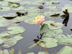 -宁波杭州湾国家湿地公园