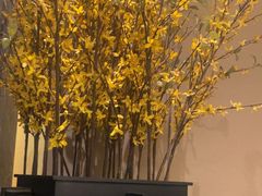 -同庆楼(奥体中心店)