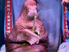 -大连圣亚海洋世界