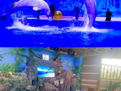-珠海长隆海洋王国