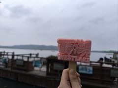 -西湖游船