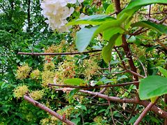 -大龙山(地铁站)