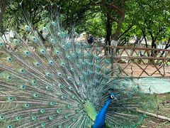 -昆明动物园