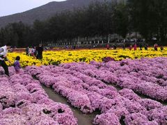 android_upload_pic-乌龙峡谷景区