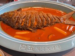 -阿五黄河大鲤鱼(建业路店)