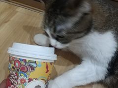 -茶话弄(咖啡·中贸广场店)