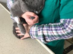 -宠颐生嘉德动物医院