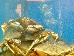 -珍宝海鲜JUMBO Seafood(尚嘉店)