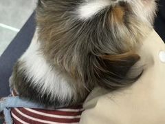 -拾一艺术(壹方天地店)