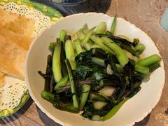 红菜苔-壹盏灯(惠农店)