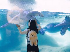 -海合安成都极地海洋公园