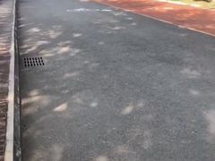 -万绿园