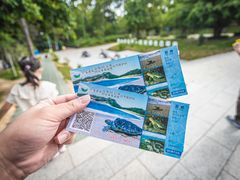 -广东惠东海龟国家级自然保护区