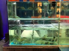-好彩海鲜火锅饭店(银河百老汇店)