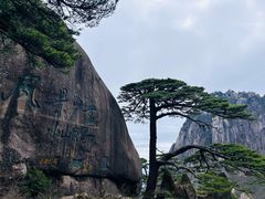 -黄山风景区