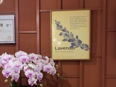 -LANN I 蘭·泰式古法按摩(高岛屋百货店)