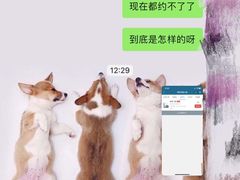 -霏梵印象公园摄影基地
