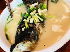 鱼头豆腐-凤嫂农家乐(梁弄店)