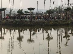 -枫香湖儿童公园