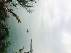 iphone_upload_pic-南丫岛