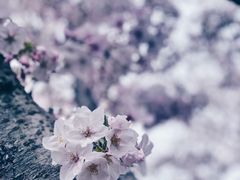 -龙美术馆(西岸馆)