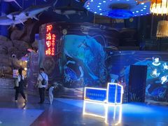 -烟台海昌鲸鲨海洋公园