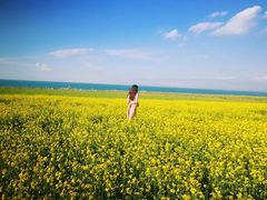 -青海湖国家重点风景名胜区