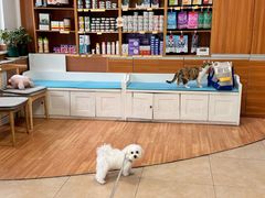 -宠福鑫动物医院·动物疾病诊疗中心(天通苑店)