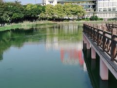 -南宁南湖公园