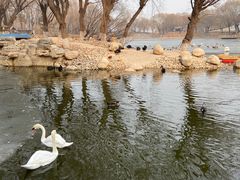 -石家庄市动物园