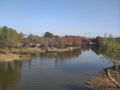-上海长兴岛郊野公园