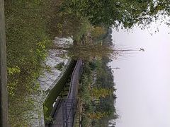 -白鹭湾湿地公园