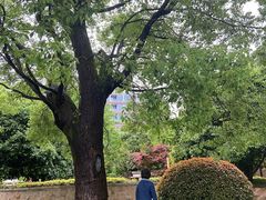 -逸廊大堂吧-下午茶·简餐-千岛湖自由洲际殿