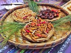 -昆虫窝子·特色云南菜(拓东路总店)