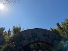 -镇江市南山风景名胜区竹林景区