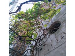 -芬芳甜品(同福路店)