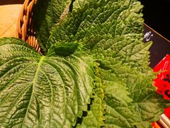 苏子叶-一江山炭火烤肉专门店