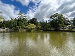 -奈良公园