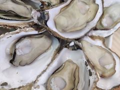 高压锅竹笼生蚝（20个大蚝）-一蚝一贝海鲜特色餐厅(万象城店)