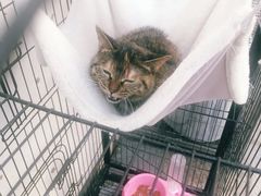 -美肴冰品·汉堡·牛腩饭(总店)
