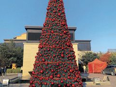 -上海崇明金茂凯悦酒店