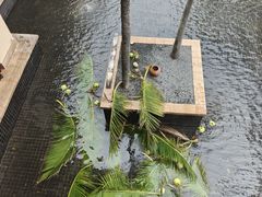 -亚龙湾喜来登·美景台大堂吧