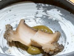 -荣一代目OMAKASE板前料理