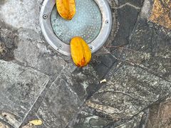 -科尔海悦酒店·柏顿花园餐厅(清河东路店)