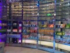 -K歌之王量贩式KTV(洪楼店)