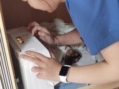 -谐和贝康宠物医院24小时·宠保定点(急重症转诊中心)