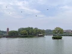 -延庆地质公园博物馆