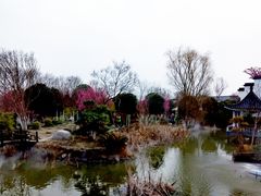 -武汉紫薇都市田园